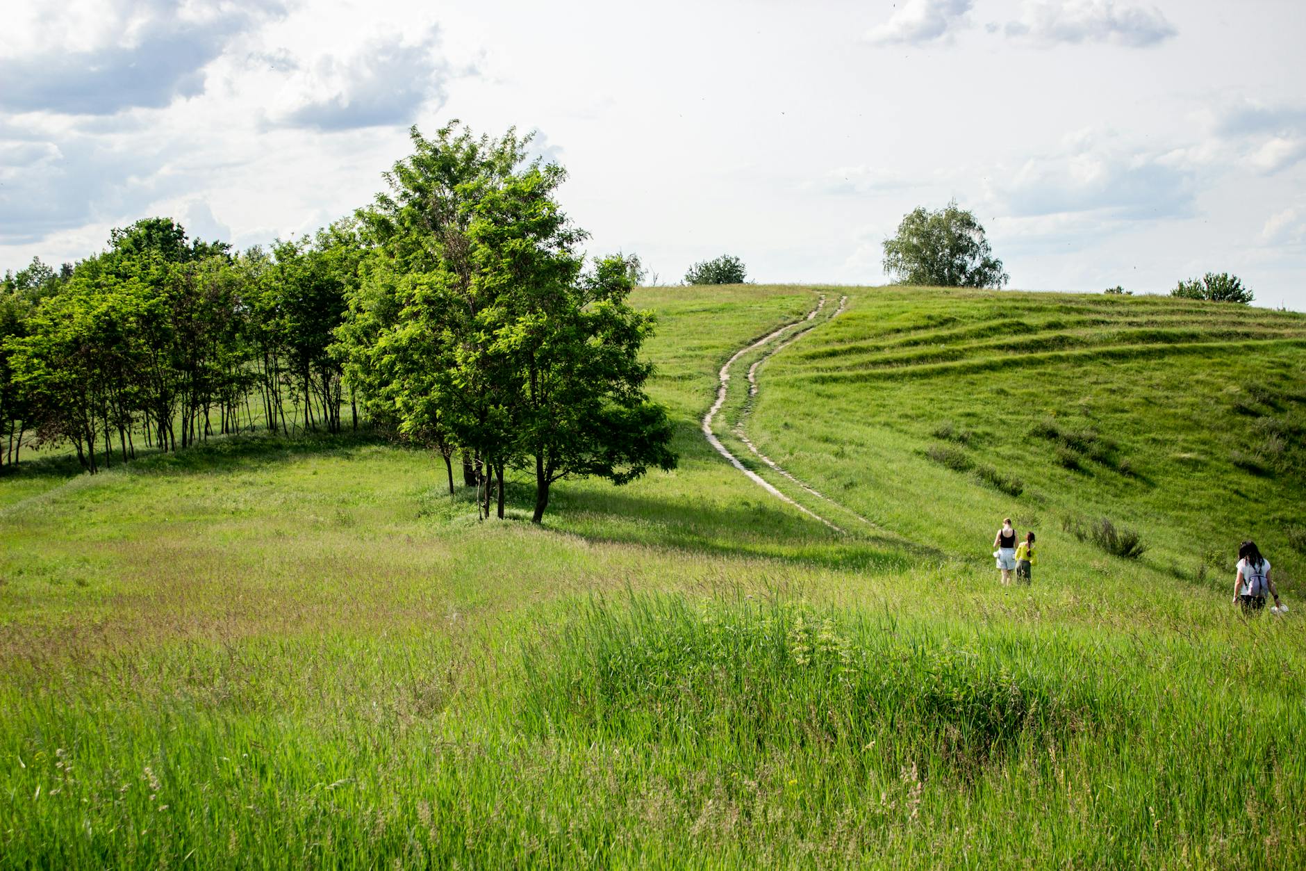 Buda Hills nature and hiking trails, a great outdoor activity for Budapest with kids