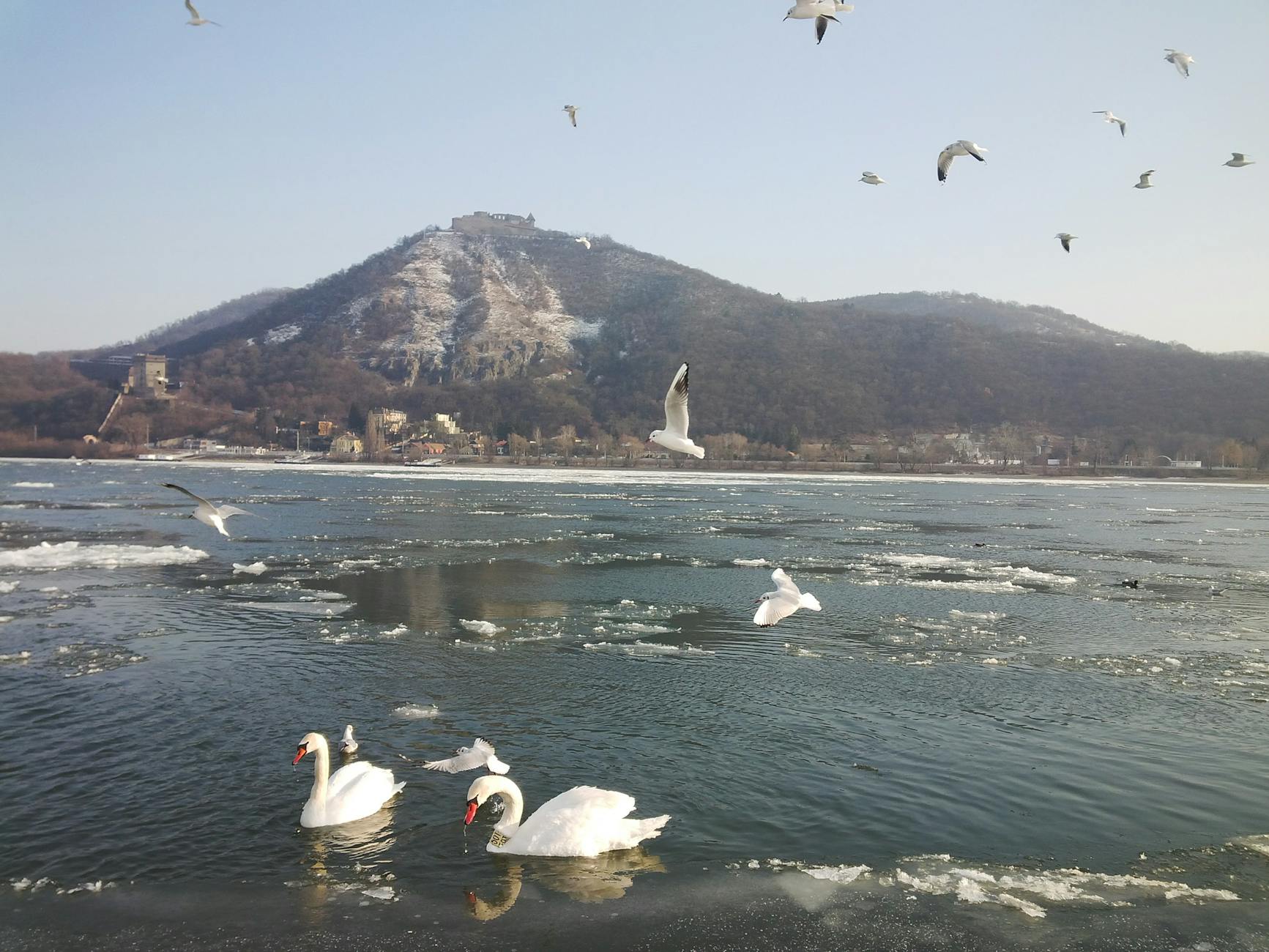 Visegrád Citadel towering above the Danube Bend, a must-visit on day trips from Budapest