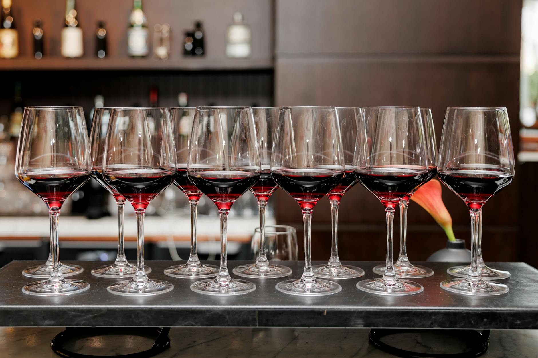 Elegant wine bar tasting experience