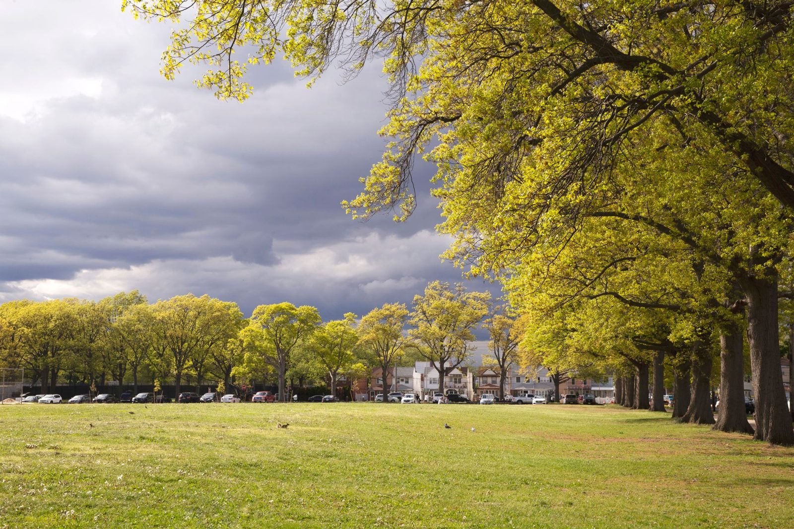 Leafy green park in Budapest popular with families