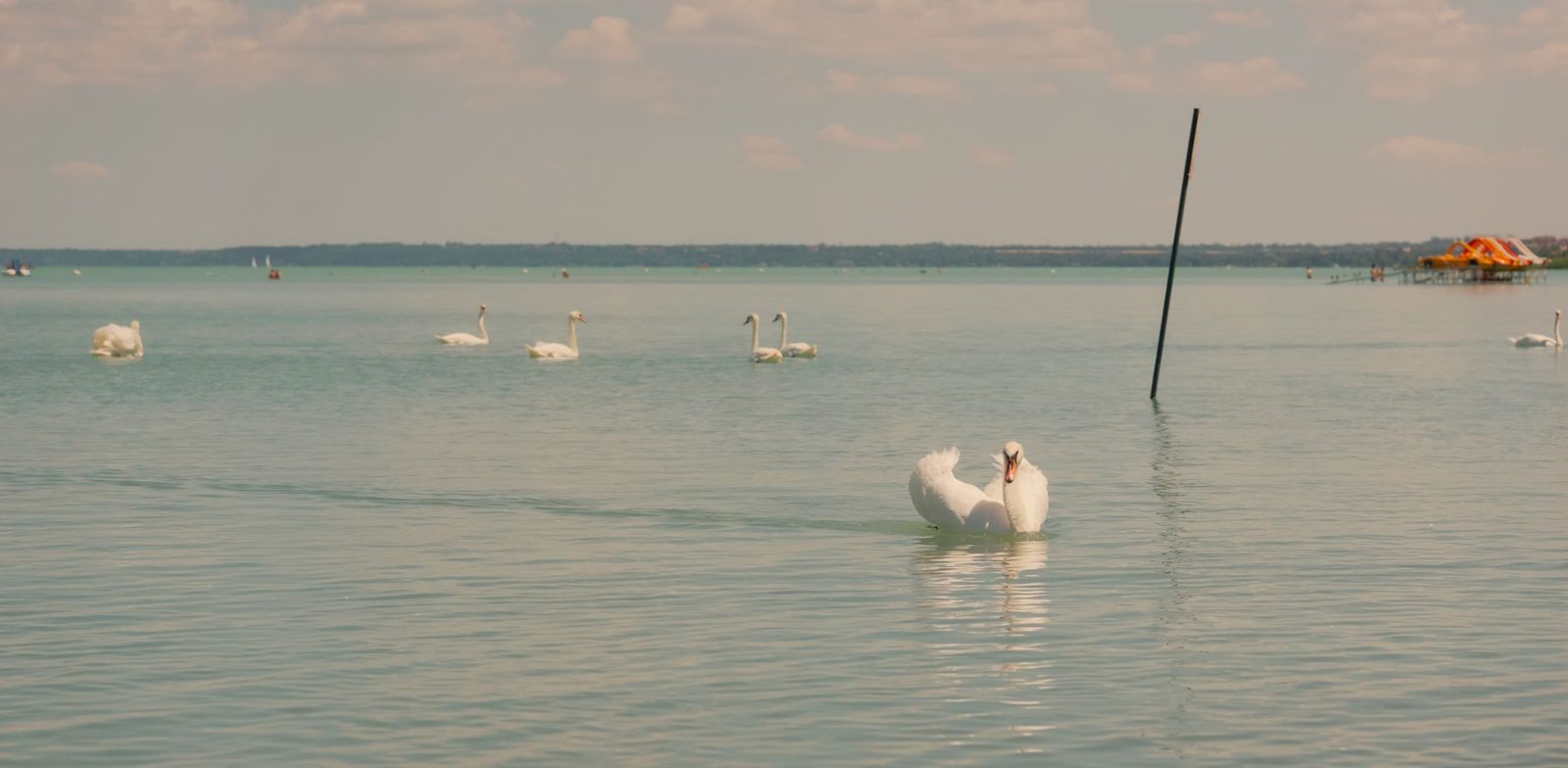 Lake Balaton viewed from the Tihany peninsula on a day trip from Budapest