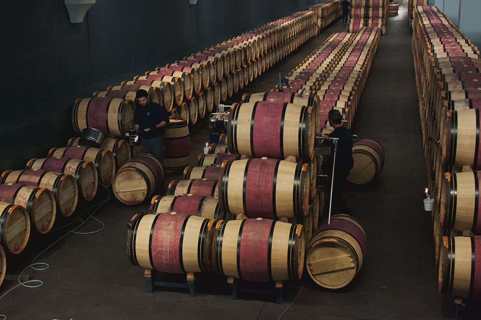Bold red wines aging in a Villány cellar