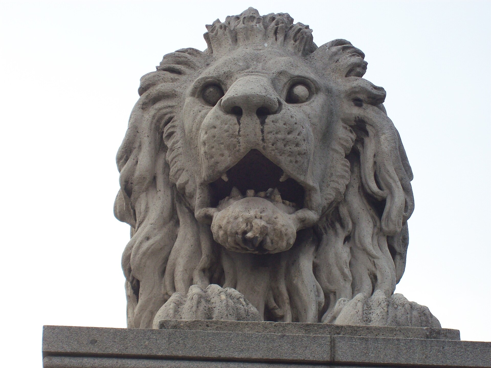 Close view of one of the stone lions on the Chain Bridge in Budapest, its mouth open, seen from directly in front
