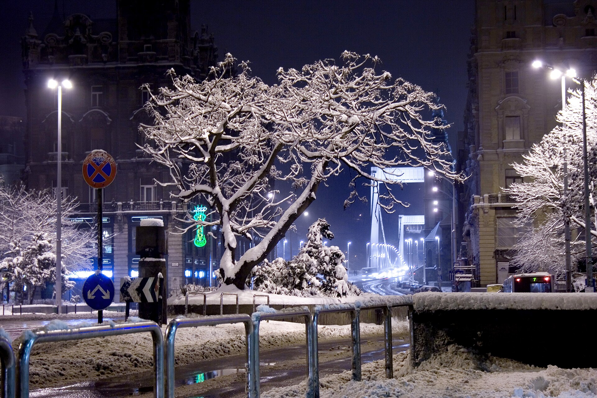 Snow-covered trees on Ferenciek tere at night, with the lit-up Elisabeth Bridge in the distance
