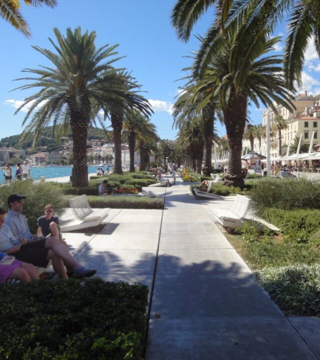 The palm-lined Riva promenade on the waterfront in Split, with the sea on one side and café terraces on the other
