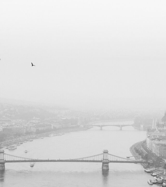 The Danube in thick fog seen from Gellért Hill, with the Chain Bridge in the foreground, the Parliament on the right bank and Margaret Bridge fading into the mist